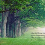 1 Chronicles 16:33 – Faith Trees Wallpaper Christian Background