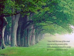 1 Chronicles 16:33 – Faith Trees Papel de Parede Imagem