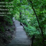 Psalm 23:3 – He Restores My Soul Wallpaper Christian Background