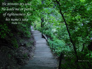 Psalm 23:3 – He Restores My Soul Papel de Parede Imagem