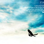 Matthew 6:26 – The Birds of The Air Wallpaper Christian Background