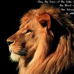 Revelation 5:5 – Lion of Tribe Judah Wallpaper Christian Background