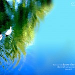 John 8:32 – The Truth Shall Set You Free Wallpaper Christian Background