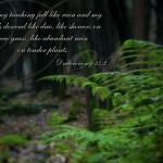Deuteronomy 32:2 – Mighty God Wallpaper Christian Background