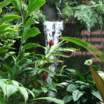 Proverbs 25:25 – Good News Wallpaper Christian Background