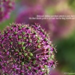 3 John 1:11 – Do Good Wallpaper Christian Background