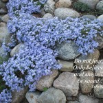 Luke 8:50 – Don’t be Afraid Wallpaper Christian Background