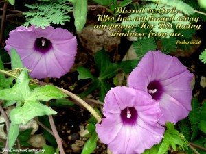 Psalms 66:20 – Prayers to God Papel de Parede Imagem
