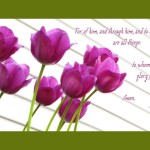 Romans 11:36 – To God Be The Glory Forever Wallpaper Christian Background