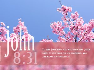 John 8:31 – Jesus’ Disciples Papel de Parede Imagem