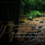 Proverbs 3:5-6 – Trust in the Lord Wallpaper Christian Background