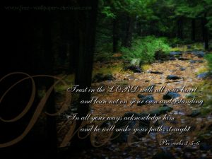 Proverbs 3:5-6 – Trust in the Lord Papel de Parede Imagem