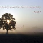 Proverbs 8:17 – Agape Wallpaper Christian Background