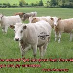Christian Quote: Fyodor Dostoyevsky Wallpaper Christian Background
