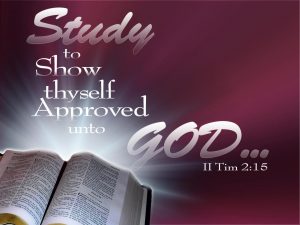 2 Timothy 2:15 – Bible Study Papel de Parede Imagem