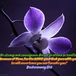 Deuteronomy 31:6 – He Will Never Leave You Wallpaper Christian Background