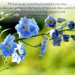 Ecclesiastes 3:11-12 -Creator of Everything Beautiful Wallpaper Christian Background