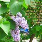 Matthew 21:42 – Cornerstones Wallpaper Christian Background
