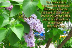 Matthew 21:42 – Cornerstones Papel de Parede Imagem