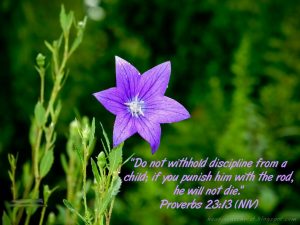 Proverbs 23:13 – Discipline Papel de Parede Imagem