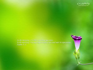 Psalm 5:3 – In The Morning Papel de Parede Imagem