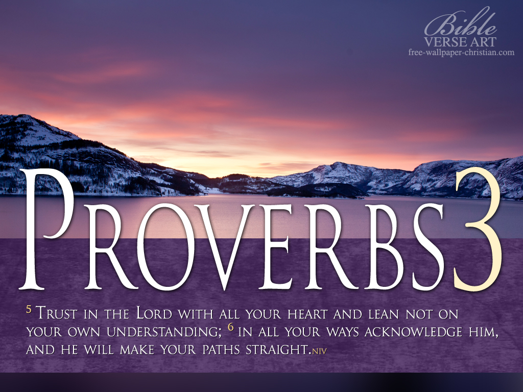Proverbs 3 5-6