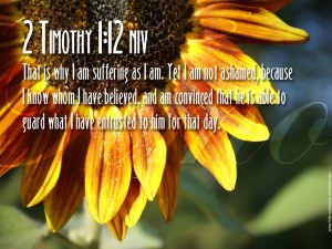 2 Timothy 1:12 – No Cause of Shame Papel de Parede Imagem