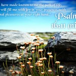 Psalm 16:11 – Path Of Life Wallpaper Christian Background