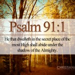 Psalm 91:1 – Shadow of Almighty Wallpaper Christian Background