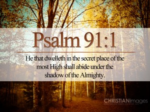 Psalm 91:1 – Shadow of Almighty Papel de Parede Imagem