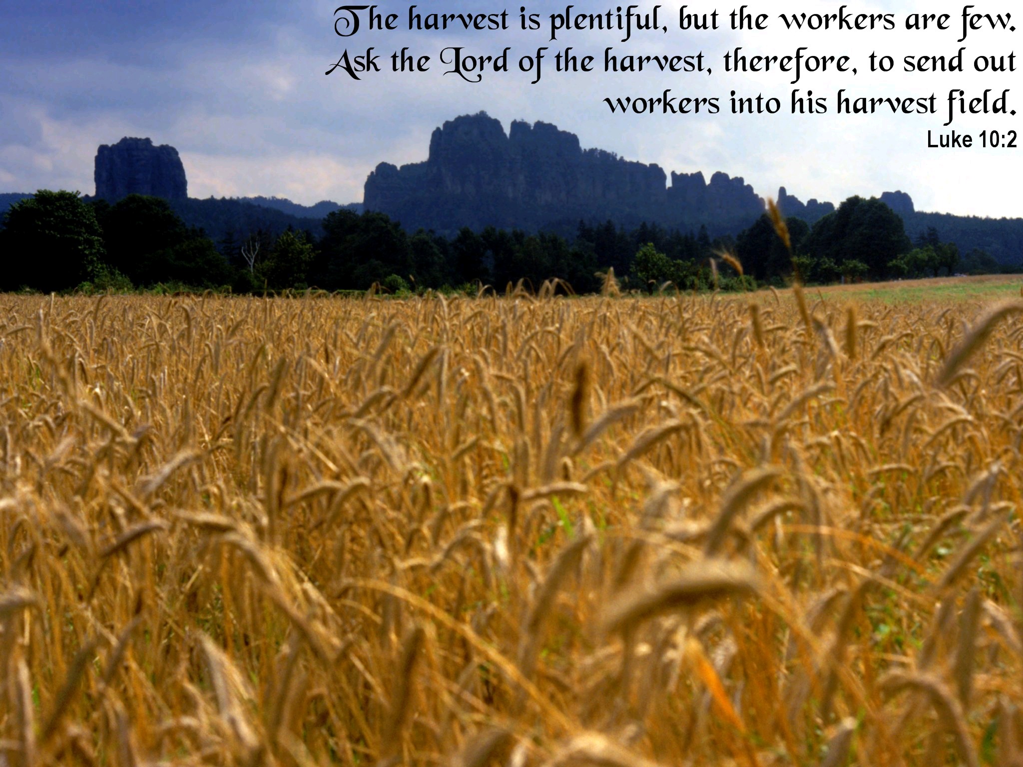 Bible Quotes From The Harvest QuotesGram