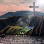 Psalm 118:17,18,24 – Rejoice in the Lord Wallpaper Christian Background