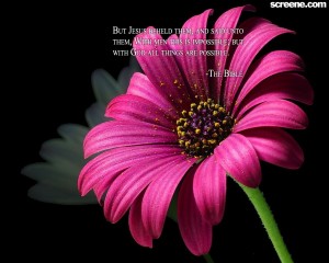 Christian Quote: All Things Are Possible Flower Background Papel de Parede Imagem