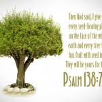 Psalm 138:7 – Tree Of Life Wallpaper Christian Background