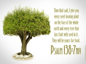 Psalm 138:7 – Tree Of Life Wallpaper
