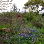 Isaiah 40:8 – The Word Of God Stand Forever Wallpaper Christian Background