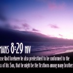 Romans 8:29 – The Son Of God Wallpaper Christian Background