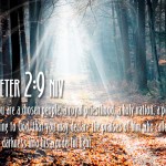1 Peter 2:9 – God Called Us Out Of Darkness Wallpaper Christian Background