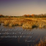 Daniel 2:21 –  God Makes Great Things Wallpaper Christian Background