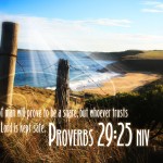 Proverbs 29:25 – Trust In The LORD Wallpaper Christian Background