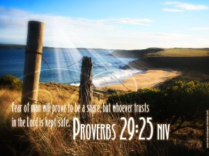 Proverbs 29:25 – Trust In The LORD Papel de Parede Imagem