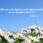 Blessed Are The Righteous Wallpaper Christian Background