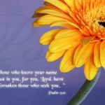 Psalm 9:10 – The LORD Will Never Forsake Us Wallpaper Christian Background