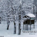 Psalm 51:7 – Clean And Whiter Than Snow Wallpaper Christian Background