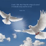 Psalm 55:6 – Like A Dove Wallpaper Christian Background