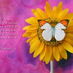 Ephesians 2:10 – God’s Handiwork Wallpaper Christian Background