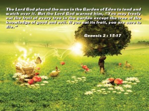 Genesis 2:15-17 – God’s Command Papel de Parede Imagem