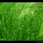 Psalm 103:15-17 – Life of Mortals Wallpaper Christian Background