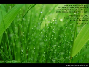 Psalm 103:15-17 – Life of Mortals Papel de Parede Imagem