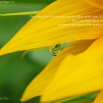 1 John 5:13 – Eternal Life Wallpaper Christian Background